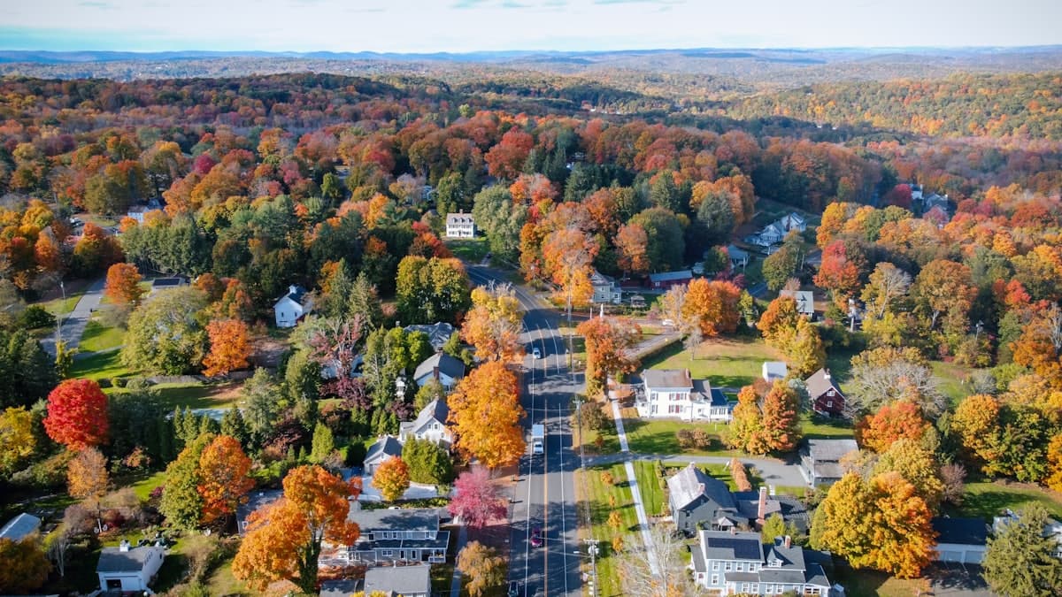 Tree-lined New England residential neighborhood